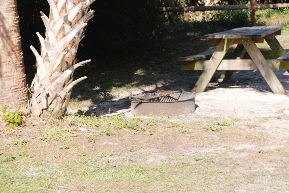Photo of Campsite 27 in Lake Manatee State Park Campground at Lake